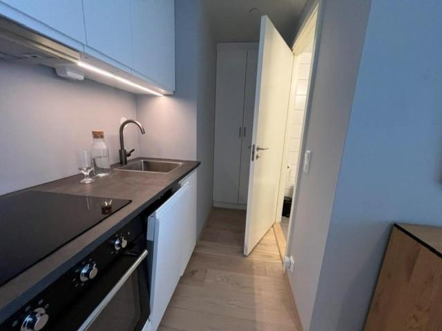 Bjorvika Appartement *